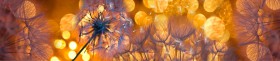 Кухонный фартук Мерцание Одуванчики золотистые 3 серебро в Кургане - kurgan.katalogmebeli.com | фото